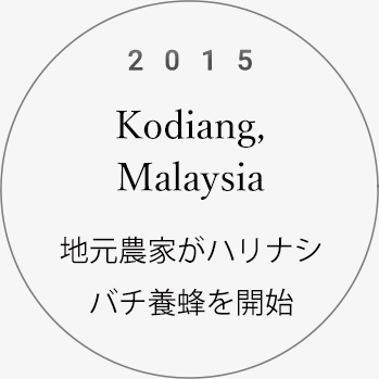 2015Kodiang,Malaysia地元農家がハリナシバチ養蜂を開始